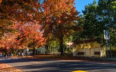 What happens when you refinance?